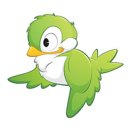Stickers enfant Oiseau Vert