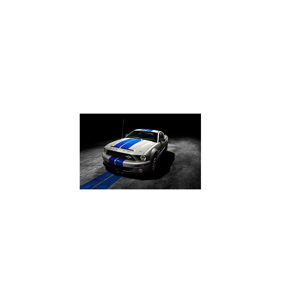 Sticker autocollant auto voiture ford mustang ref A216