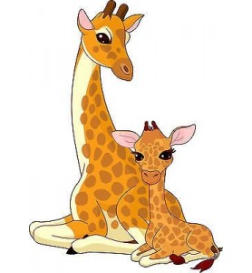 Sticker enfant Bébé Girafes réf 2536 (Dimensions de 10 cm à 130cm de hauteur)