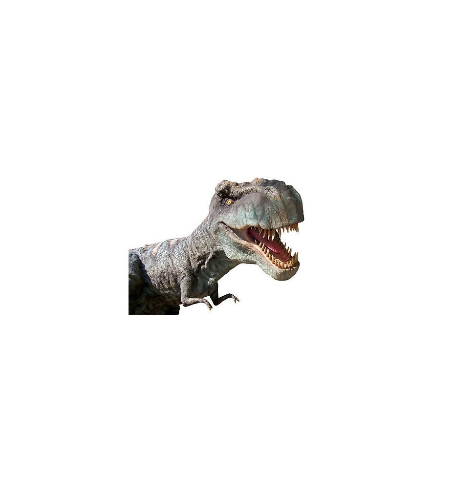Sticker animal dinosaure 94x73cm